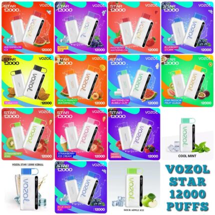 Vozol Star 12000 Puffs Disposable Vape