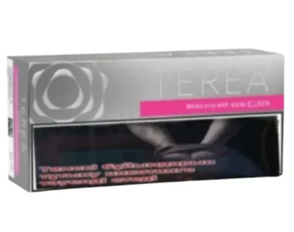 IQOS TEREA SILVER BY KAZAKHSTAN IN DUBAI UAE